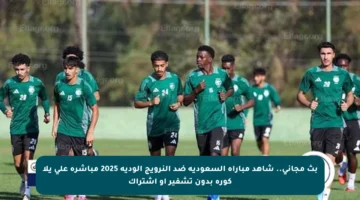 بث مجاني.. شاهد مباراة السعودية ضد النرويج الودية 2025 مباشرة على يلا كورة بدون تشفير أو اشتراك